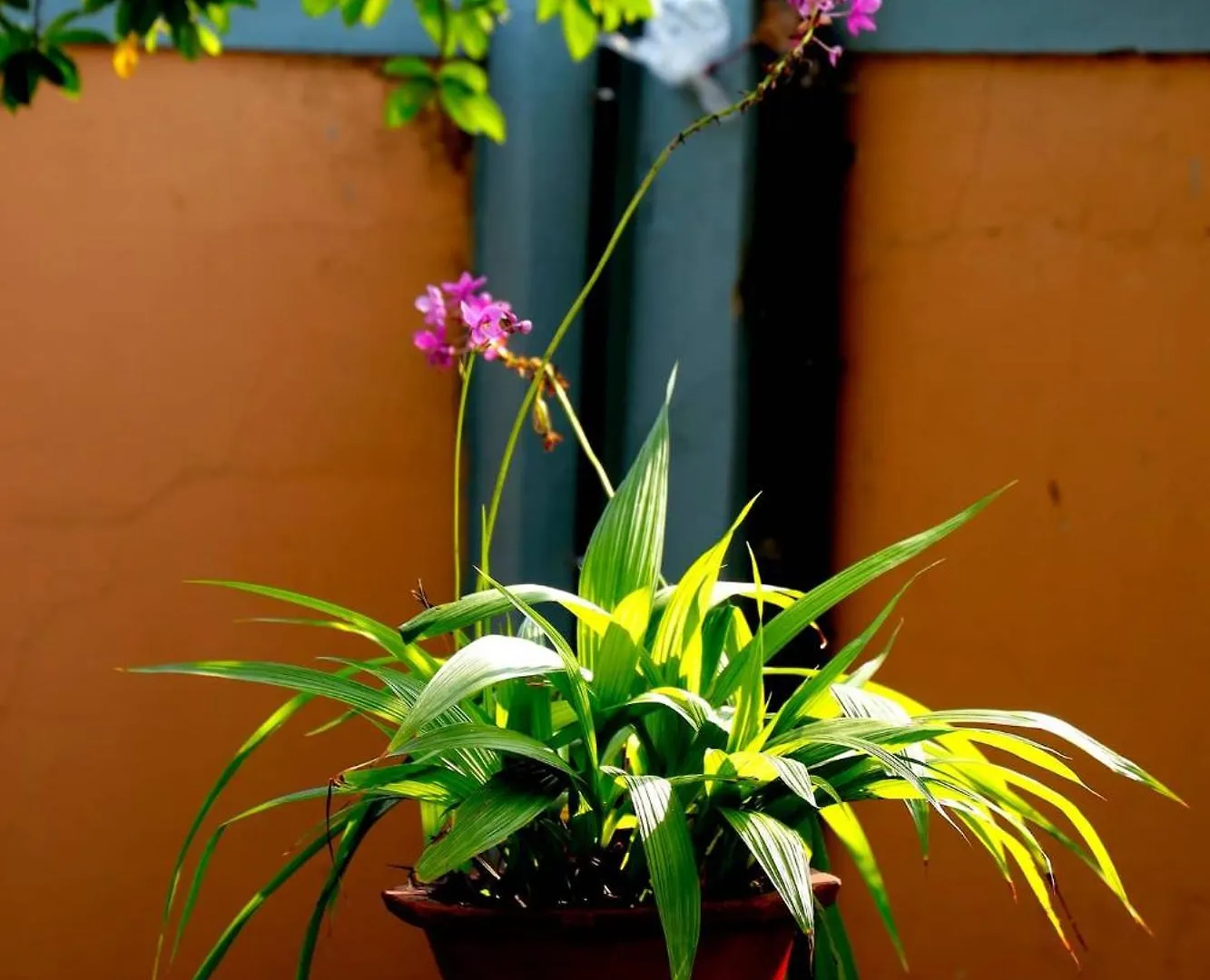 Alleppey Haven Homestay Near Backwaters Alappuzha