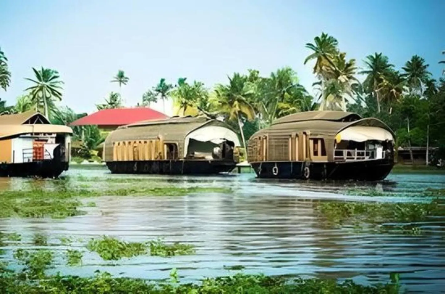 Alleppey Haven Homestay Near Backwaters Alappuzha 0*,  India